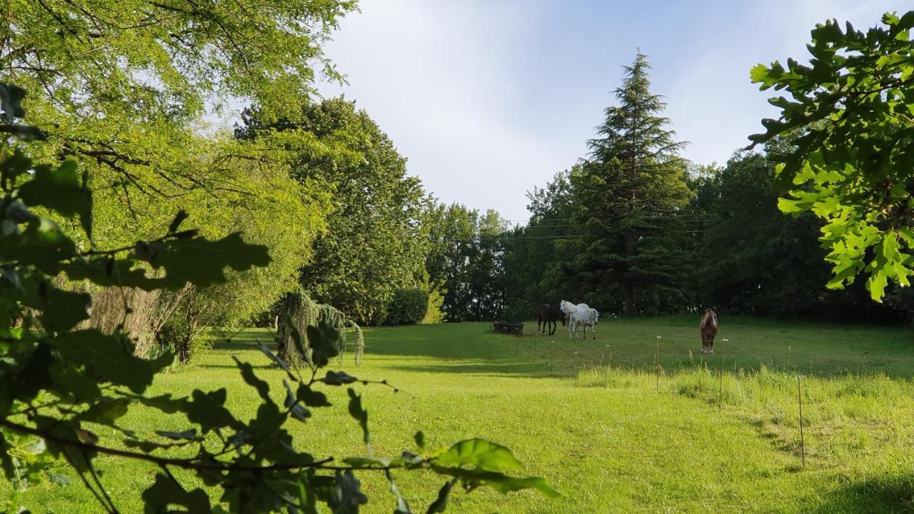 Domaine Du Cardou Hotel Puy-l'Eveque Luaran gambar